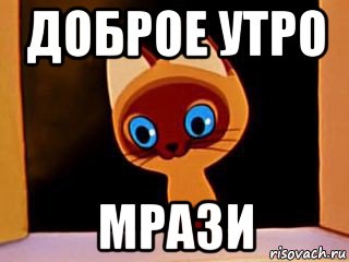 доброе утро мрази, Мем котенок гав