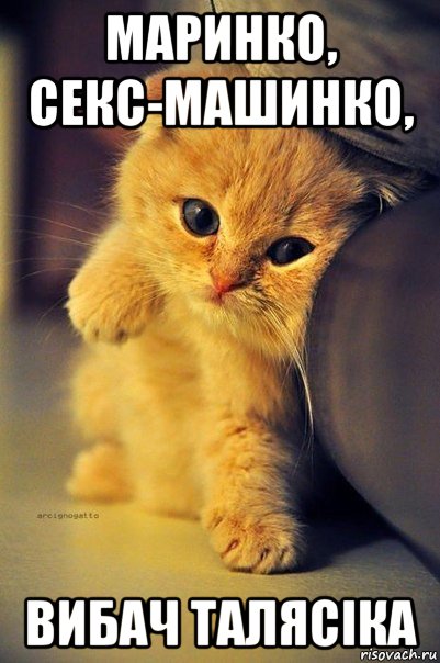маринко, секс-машинко, вибач талясіка