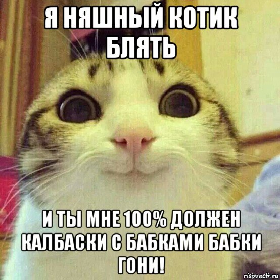 я няшный котик блять и ты мне 100% должен калбаски с бабками бабки гони!, Мем       Котяка-улыбака