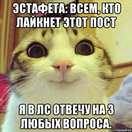 эстафета: всем, кто лайкнет этот пост я в лс отвечу на 3 любых вопроса., Мем       Котяка-улыбака