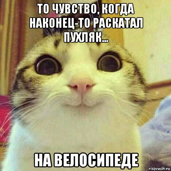 то чувство, когда наконец-то раскатал пухляк... на велосипеде, Мем       Котяка-улыбака