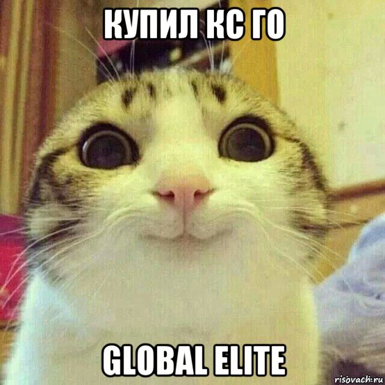 купил кс го global elite, Мем       Котяка-улыбака