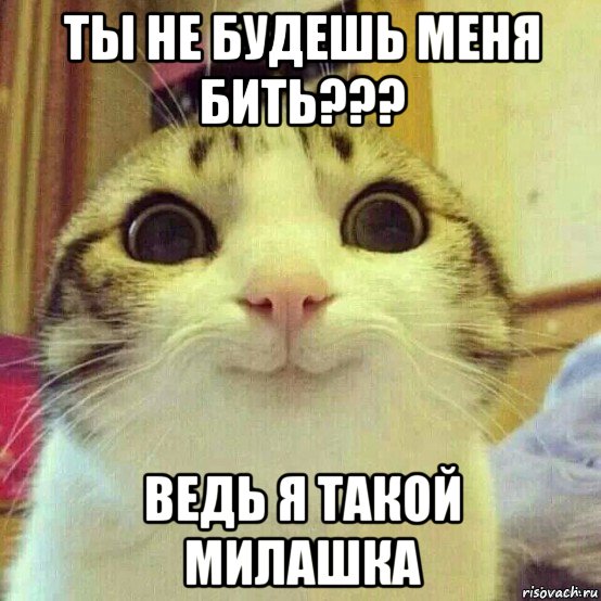 ты не будешь меня бить??? ведь я такой милашка, Мем       Котяка-улыбака