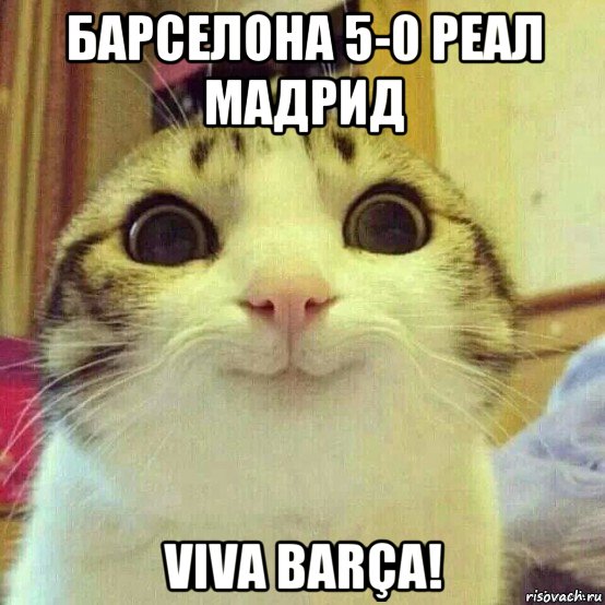 барселона 5-0 реал мадрид viva barça!, Мем       Котяка-улыбака