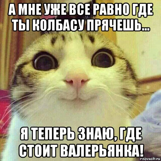 а мне уже все равно где ты колбасу прячешь... я теперь знаю, где стоит валерьянка!, Мем       Котяка-улыбака