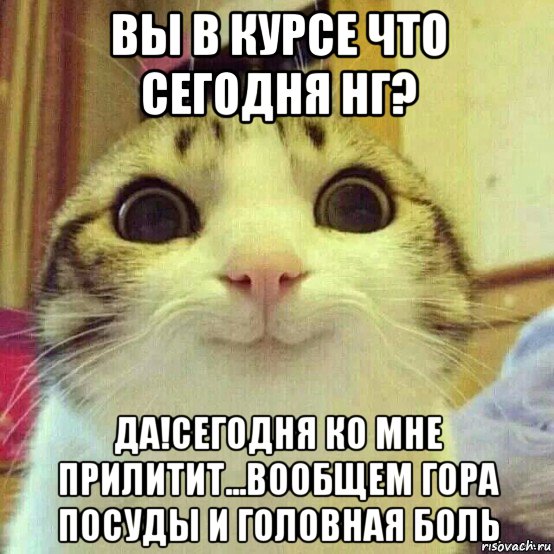 вы в курсе что сегодня нг? да!сегодня ко мне прилитит...вообщем гора посуды и головная боль, Мем       Котяка-улыбака