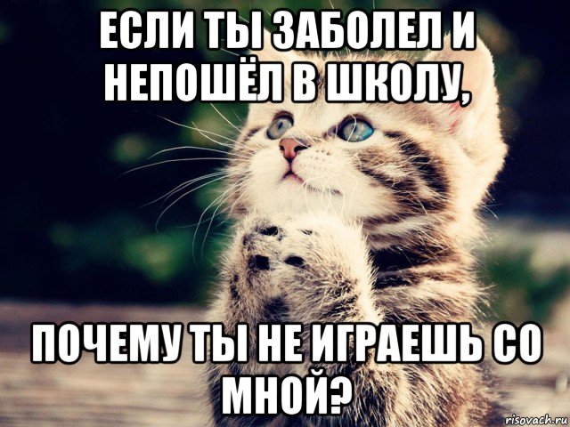 если ты заболел и непошёл в школу, почему ты не играешь со мной?