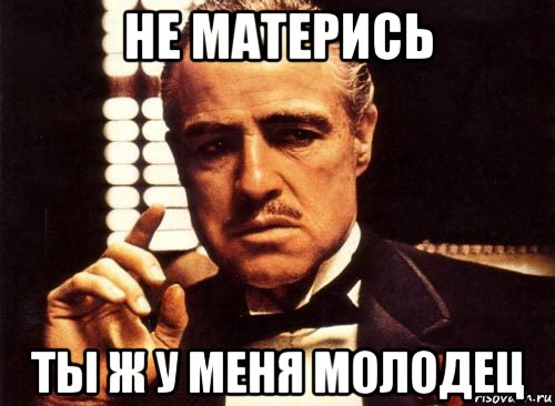 не матерись ты ж у меня молодец, Мем крестный отец