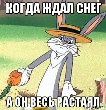 когда ждал снег а он весь растаял