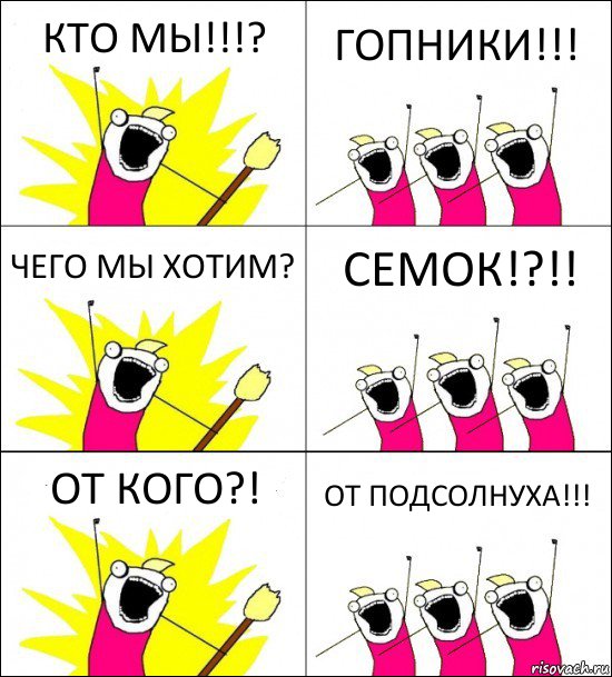 КТО МЫ!!!? ГОПНИКИ!!! ЧЕГО МЫ ХОТИМ? СЕМОК!?!! ОТ КОГО?! ОТ ПОДСОЛНУХА!!!, Комикс кто мы