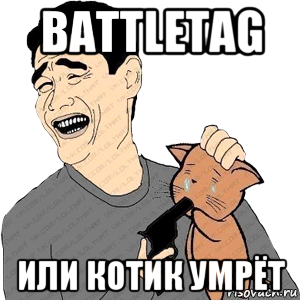 battlеtag или котик умрёт, Мем Лайкни или кот умрёт