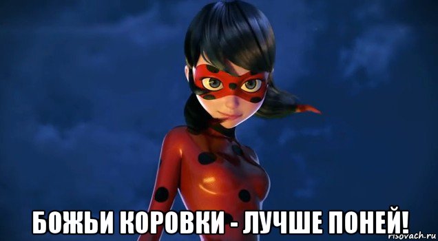  божьи коровки - лучше поней!, Мем Леди баг