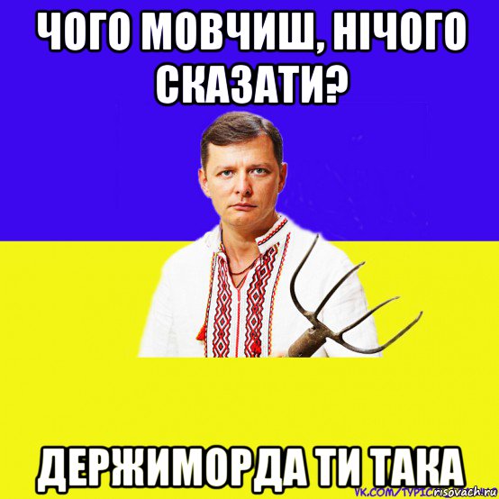 чого мовчиш, нічого сказати? держиморда ти така, Мем ляшко