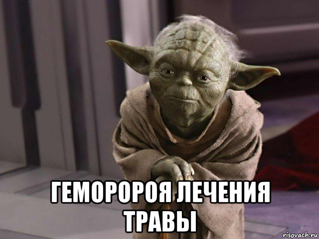  геморороя лечения травы