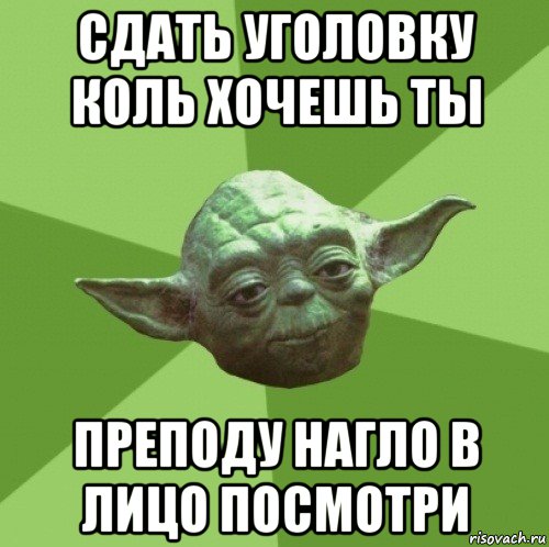 сдать уголовку коль хочешь ты преподу нагло в лицо посмотри, Мем Мастер Йода