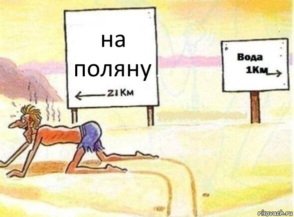 на поляну