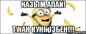 назым апай! туған куніңізбен!!!, Мем миньон