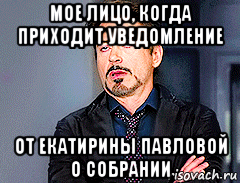 мое лицо, когда приходит уведомление от екатирины павловой о собрании, Мем мое лицо когда