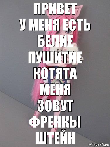 привет
у меня есть белие пушитие котята меня
зовут
Френкы Штейн, Комикс монстер хай новая ученица