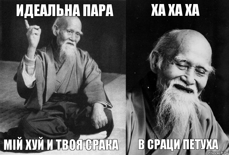 идеальна пара мій хуй и твоя срака ха ха ха в сраци петуха, Комикс Мудрец-монах (4 зоны)