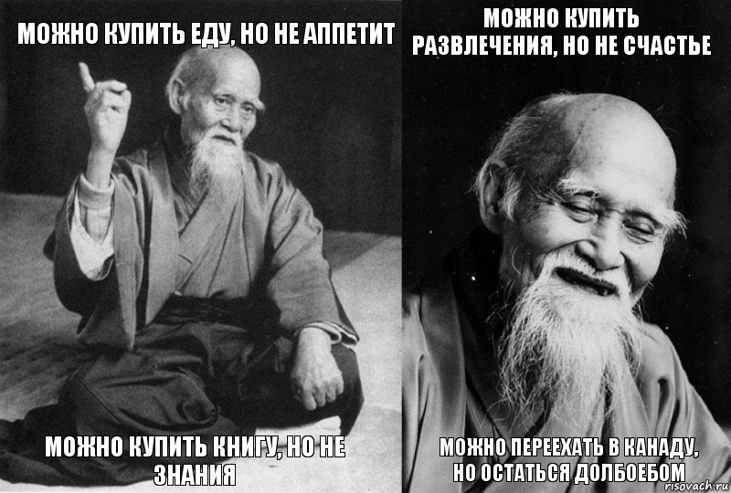 можно купить еду, но не аппетит можно купить книгу, но не знания можно купить развлечения, но не счастье можно переехать в Канаду, но остаться долбоебом, Комикс Мудрец-монах (4 зоны)