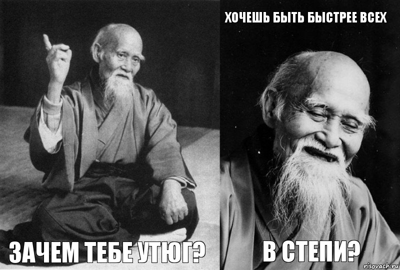  Зачем тебе утюг? Хочешь быть быстрее всех в степи?, Комикс Мудрец-монах (4 зоны)