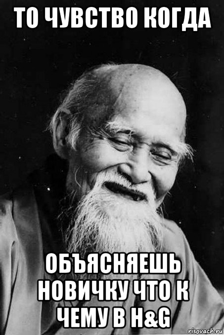 то чувство когда объясняешь новичку что к чему в h&g, Мем мудрец улыбается