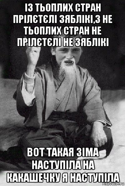 із тьоплих стран прілєтєлі зяблікі,з не тьоплих стран не прілєтєлі не зяблікі вот такая зіма наступіла на какашечку я наступіла, Мем Мудрий паца