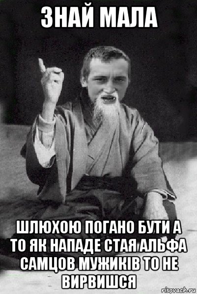 знай мала шлюхою погано бути а то як нападе стая альфа самцов мужиків то не вирвишся, Мем Мудрий паца