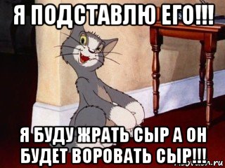 я подставлю его!!! я буду жрать сыр а он будет воровать сыр!!!, Мем Наглый том