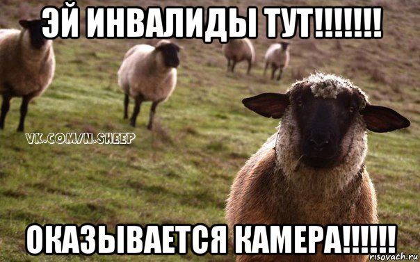 эй инвалиды тут!!!!!!! оказывается камера!!!!!!