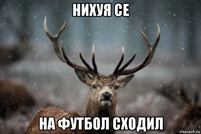 нихуя се на футбол сходил