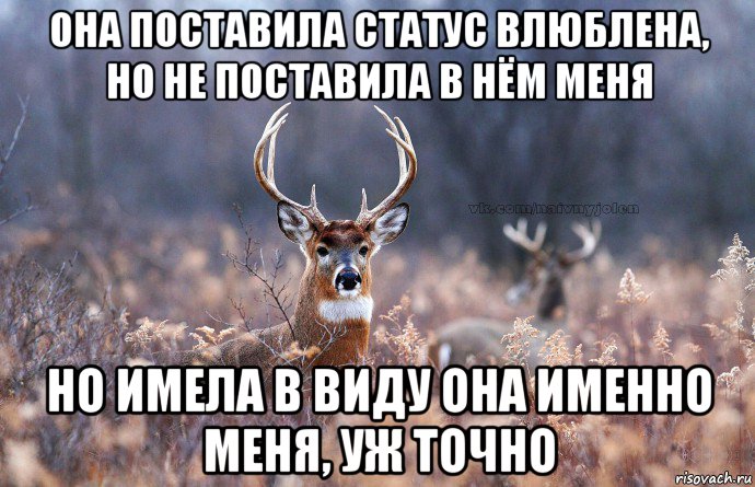 Статус влюблена это Статус влюблена это