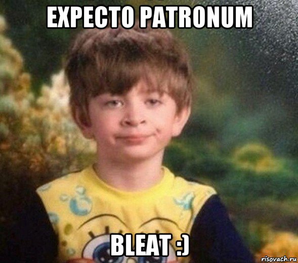 expecto patronum bleat :), Мем Недовольный пацан