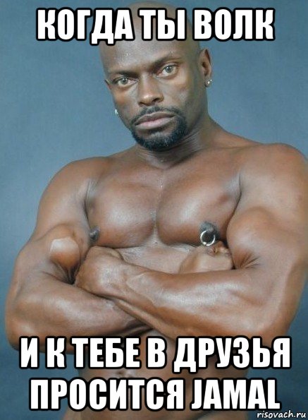 когда ты волк и к тебе в друзья просится jamal, Мем Негр гей