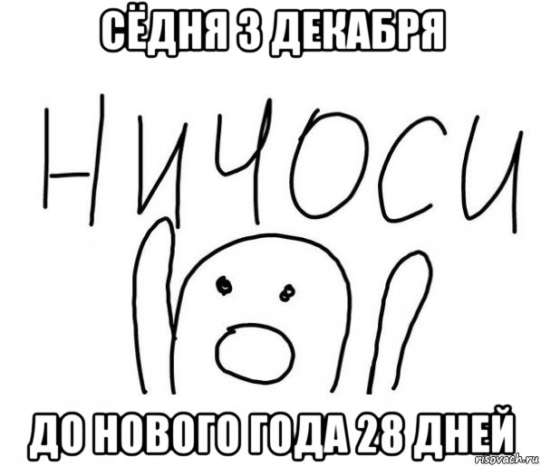 сёдня 3 декабря до нового года 28 дней, Мем  Ничоси