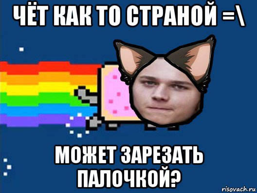 чёт как то страной =\ может зарезать палочкой?, Мем Нян Кэт в Реальной Жизни