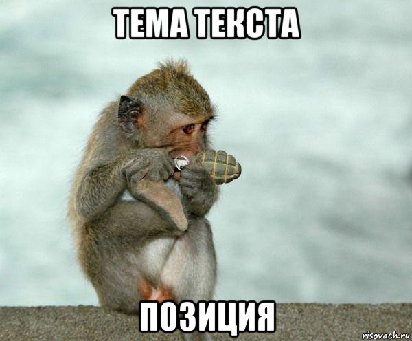 тема текста позиция
