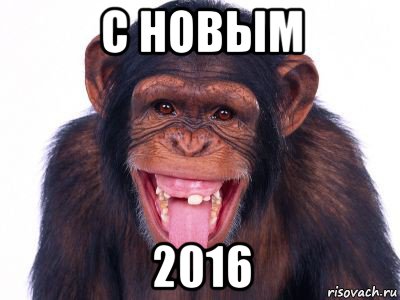 с новым 2016