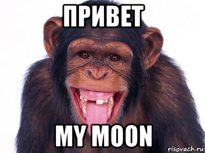 привет my moon