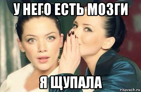 у него есть мозги я щупала, Мем  Он