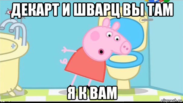 декарт и шварц вы там я к вам