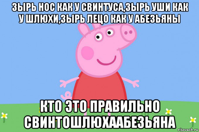 зырь нос как у свинтуса,зырь уши как у шлюхи,зырь лецо как у абезьяны кто это правильно свинтошлюхаабезьяна, Мем Пеппа