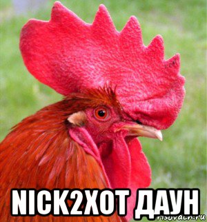  nick2xot даун