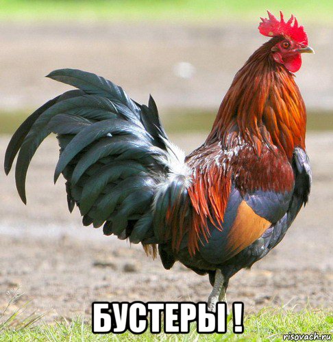  бустеры !