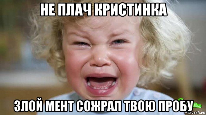 не плач кристинка злой мент сожрал твою пробу