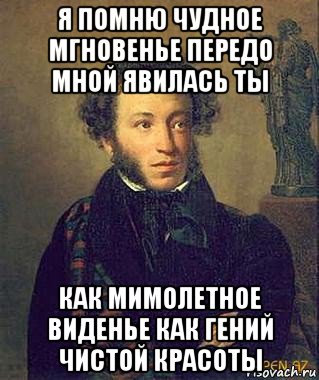 я помню чудное мгновенье передо мной явилась ты как мимолетное виденье как гений чистой красоты, Мем Пушкин