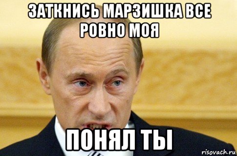 заткнись марзишка все ровно моя понял ты, Мем путин