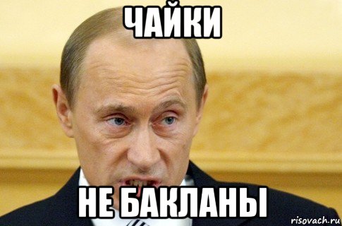 чайки не бакланы, Мем путин