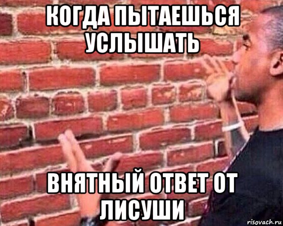 когда пытаешься услышать внятный ответ от лисуши, Мем разговор со стеной